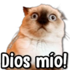 kane stickers
Dios mío!