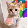 Gatito_depie 7