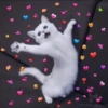 CATSOFINSTAGRAM.COM ICATSONNTAGRAM