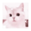 Cute Cat 26
