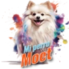 Mi perro Moet