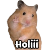 @ciseelove Stickers
Holiii