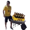 10 TOXS