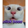 ciluk baaa