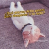 ¿Qué alarma debo poner para despertar a tu lado? G@drugs2love Gatitos para conquistar ato CRUSH