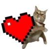 Cat meme reaction 🐈🆕 17