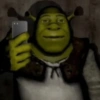 🏰🟢 SHREK MOODS 🟢🏰 26