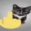 Gatinhos + emojis 😻 24