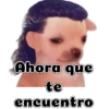 Ahora que te encuentro
