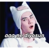 aaa ne diyosun