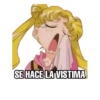 SE HACE LA VISTIMA