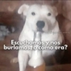 Memes Sin Sentido 3🥴🫧  26