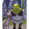 Memes Shrek 😎 19