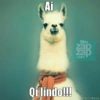 Ai Qi lindo!!! Meu ਕਰਦੇ .com Criar Meme