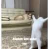 Napiyo bu aq Allahım sen sabır ver