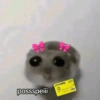 Cricetino Sad Hamster pt.2 24