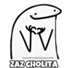 Flork boliviano 🇧🇴 22