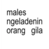 Anomali Kata Kata Emosi 😡 15