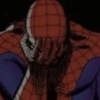 www