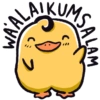 ALA KUMS C AM ALA