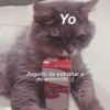 Gatitos para conquistar at CRUSH Yo Ⓒl@drugs2love Juguito de extrañar a mi amorcito :(