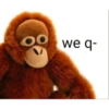 Jaja q grasios 😂👍 12