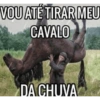 VOU ATÉ TIRAR MEU CAVALO DA CHUVA