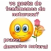 vc gosta de fenômenos da natureza? SADRENAIS prazer desastre natural