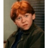 Harry Potter a stikers 11