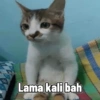 ngemim.uscless Lama kali bah