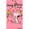 Feliz Aniversário 30