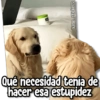 kane_stickers
Qué necesidad tenía de
hacer esa estupidez