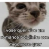 vose quer vive um romance boiolinha com migo vose quer