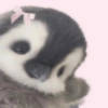 Animais Coquete 12