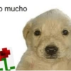 o mucho