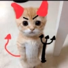 Gatito_depie 11