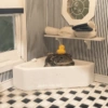 Frog 5