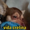 vida cretina