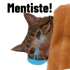 Mentiste!