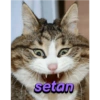 setan