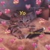 Yo Gatitos para conquistar a tu CRUSH @drugs2love Fotitos tuyas bb