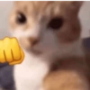 Gatinhos + emojis 😻 13