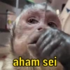 aham sei