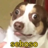 seboso