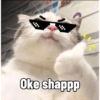 Cute cat sticker 🐈 23