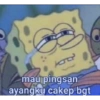 BUCIN 16