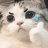 Gatinhos + emojis 😻 7