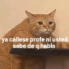 ya cállese profe ni usted
sabe de q habla