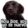 kane....stickers
Hola Dios, soy
yo de nuevo