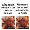 CUÁNDO ESCUCHAS UN RUIDO EN TU CASA Y PENSAS QUE FUE EL GATO PERO RECORDAS QUE NO TENES GATO Y ESTÁS SOLI EN TU CASA @BILLIE MEMES.ARG